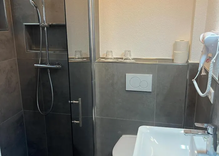 Seeadler * Φριντρισχάφεν